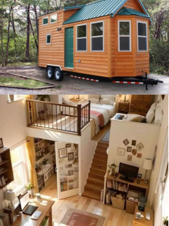 Tiny House vs. Small Apartment