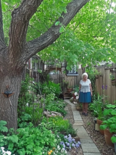 small garden ideas